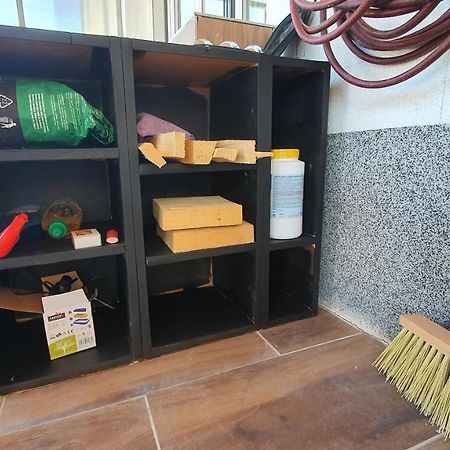 Kittsee 4 Room Flat With Garden And Pool מראה חיצוני תמונה